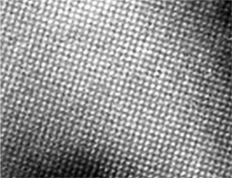 EM-Tec TC1 TEM calibration standard oriented gold crystal